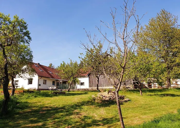 Die Alm in Schöllbüchl